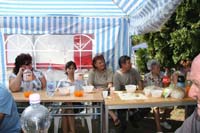 falunap_07