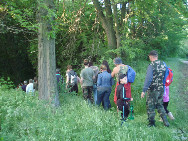 fulemulek_ejszakaja_40