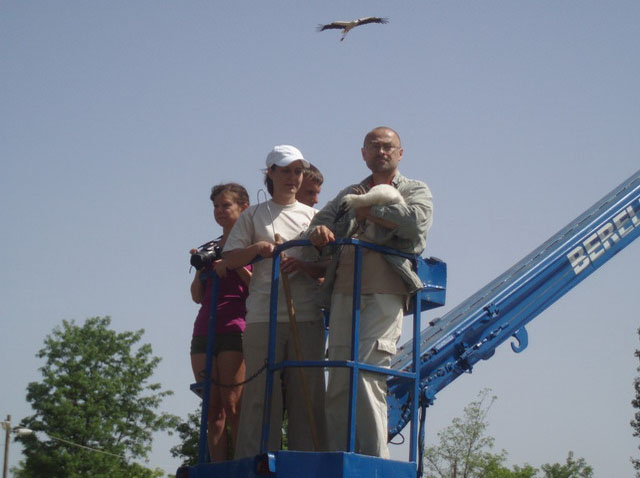 golya_road_show_2010_05