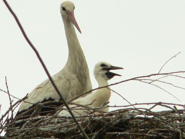 P1260246