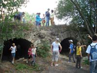 Kikerics_2011_33