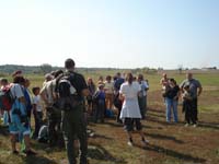 Kikerics_2011_34