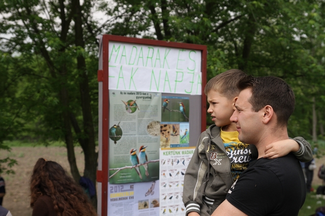 madarak_es_fak_napja_koka_542