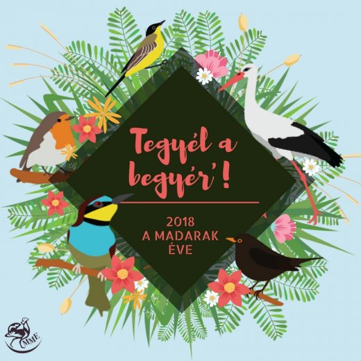 2018 a Madarak Éve