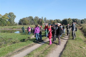 Európai MAdármegfigyelő Napok Tápiószecsőn