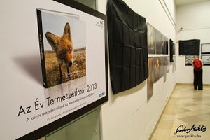 Év természetfotósa 2013 kiállítás