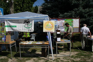 kókai falunap 2010 