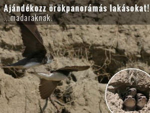 Fecske partfal