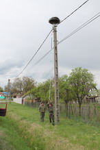 Fészekellenőrzés 2