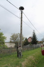 Fészekellenőrzés 3