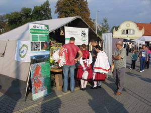Káta Expó 2010