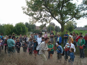 Kikerics túra