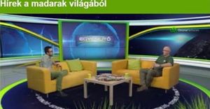 OzoNetwork interjú